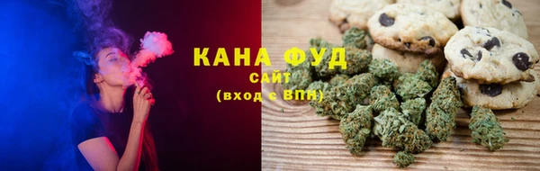 дмт Алзамай