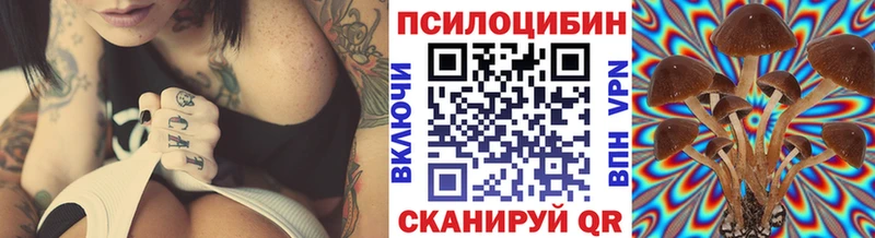 кракен маркетплейс  Новопавловск  Галлюциногенные грибы Psilocybine cubensis 