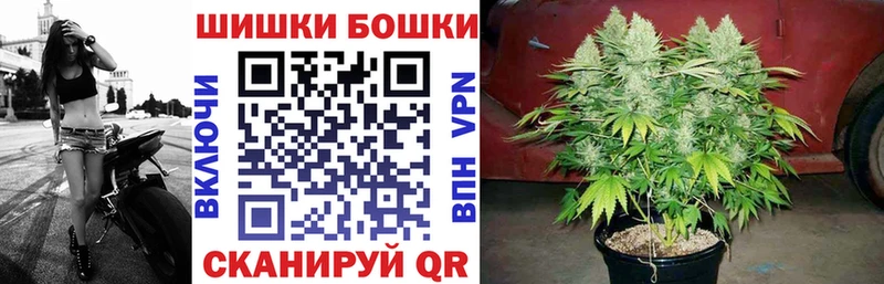 Каннабис конопля  как найти   Новопавловск 